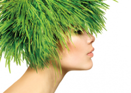 Green-hair-newsletter